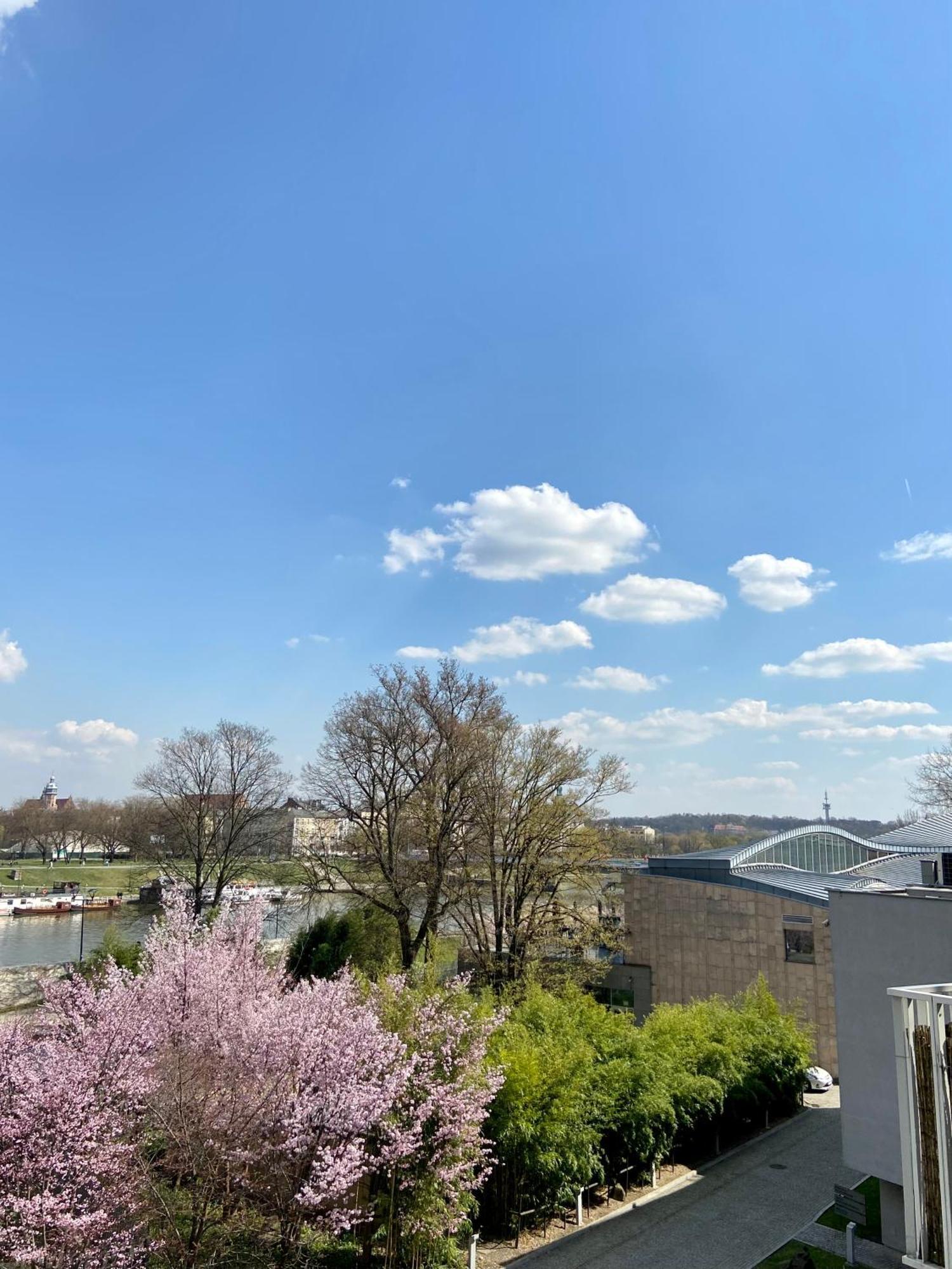 Apartamenty Manggha Residence クラクフ エクステリア 写真